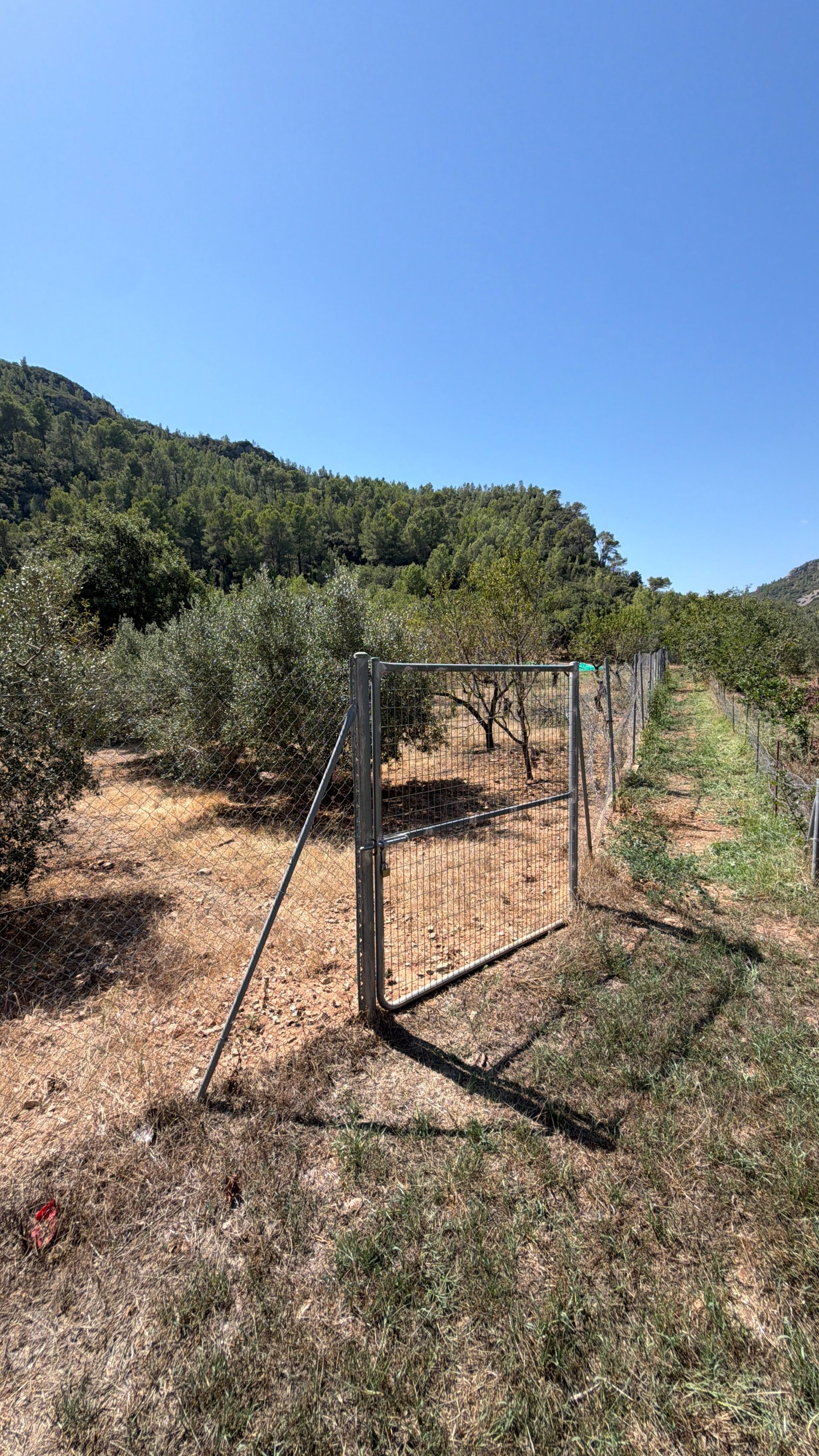 ++ Finca rustical en Vandellos ++ - Image 22